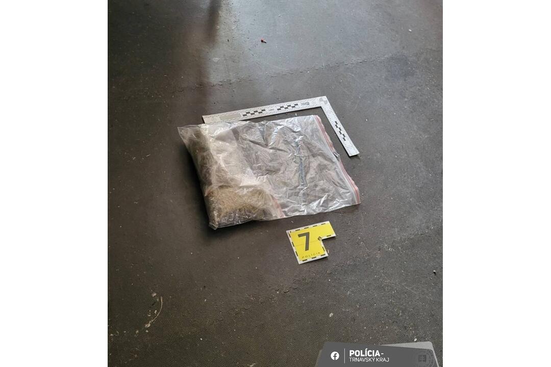FOTO: Akcia Desperado bola úspešná. Muži obchodovali s marihuanou, zadržali ich trnavskí policajti, foto 3
