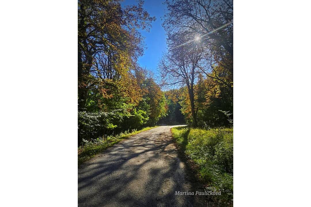 FOTO: Jesenný Majdán, foto 1