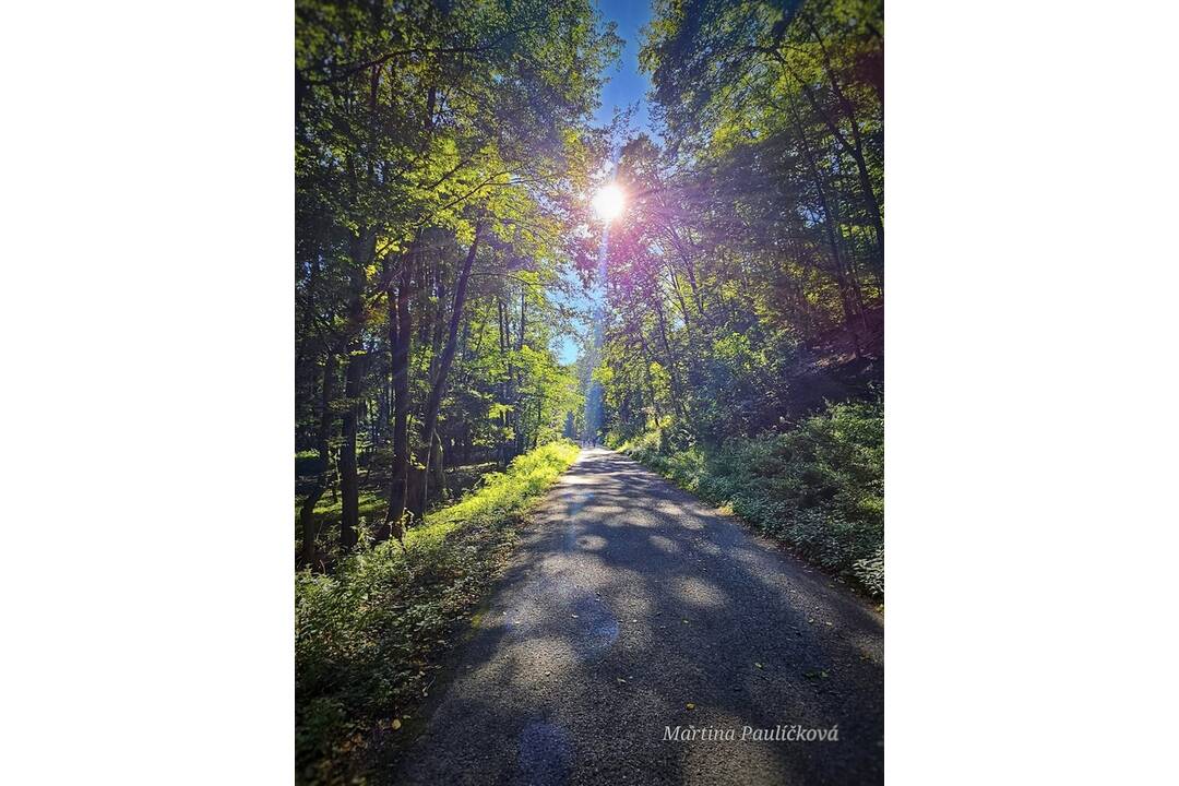 FOTO: Jesenný Majdán, foto 6