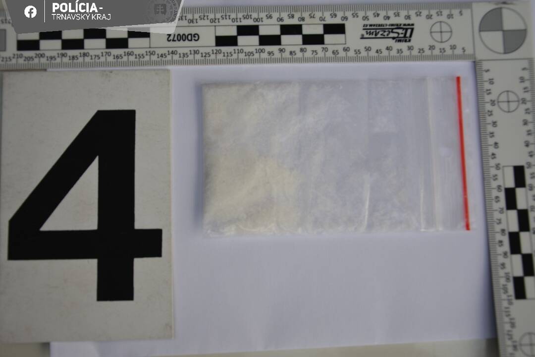 FOTO: Policajti chytili dvoch dílerov zo Serede, foto 4