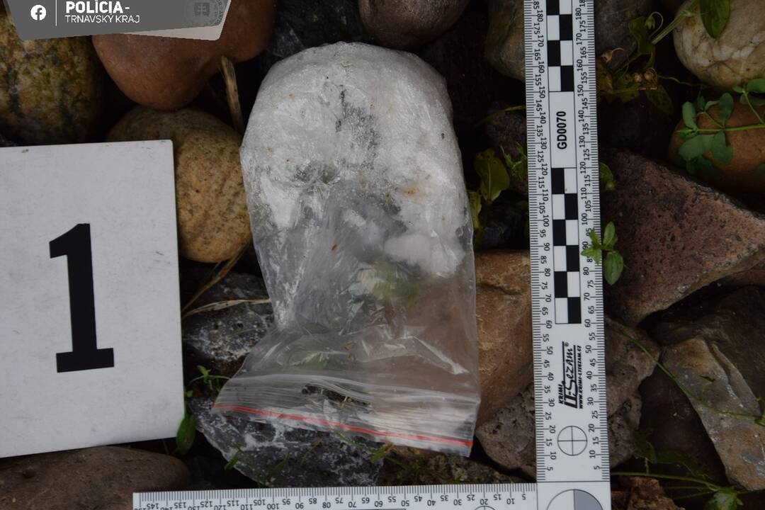 FOTO: Policajti chytili dvoch dílerov zo Serede, foto 6