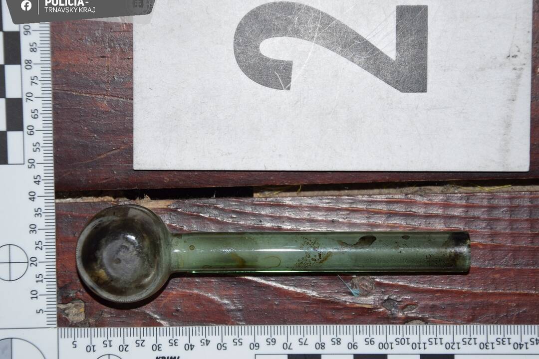 FOTO: Policajti chytili dvoch dílerov zo Serede, foto 7