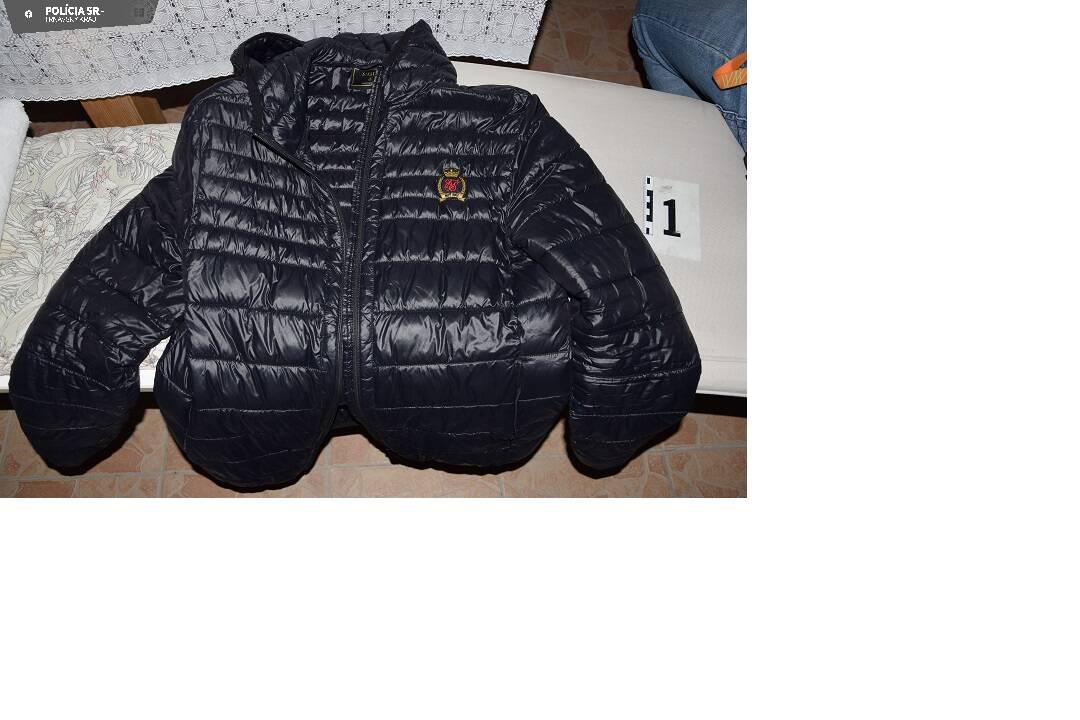 FOTO: Polícia v Dunajskej Strede zadržala zlodeja, foto 2