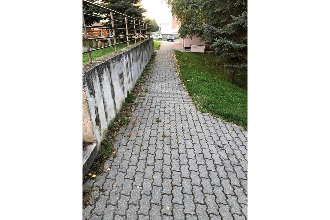 FOTO: Pozor na otravu na psov v Senici, foto 3