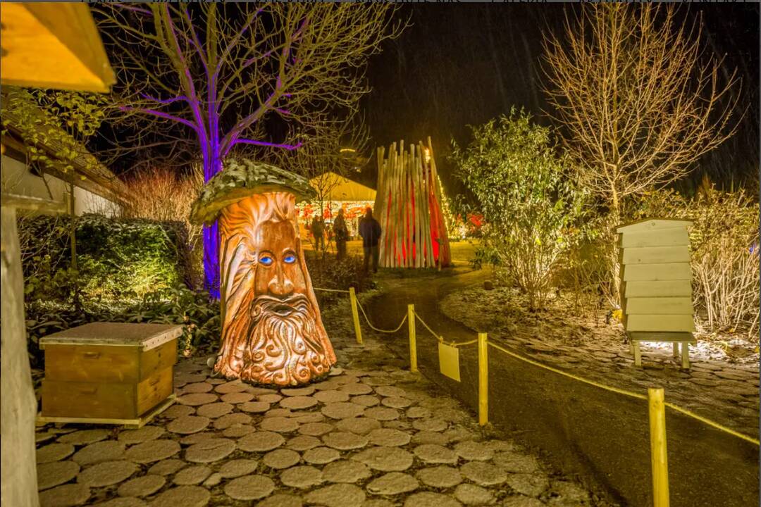 FOTO: Svetlo Noci Vianočnej 2024, foto 3