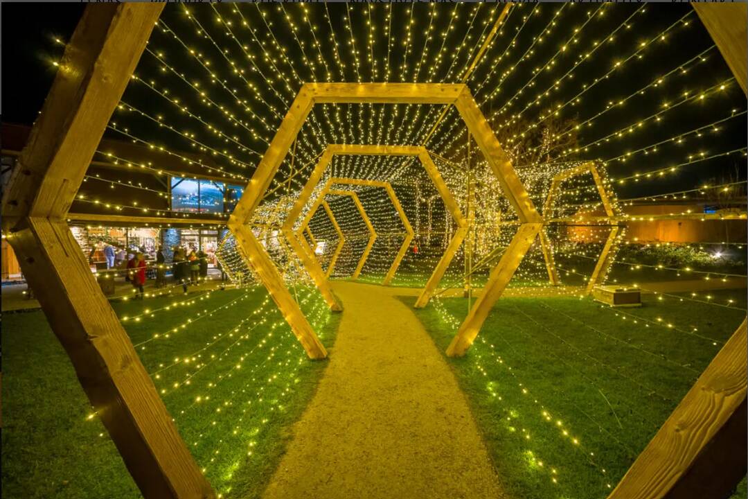 FOTO: Svetlo Noci Vianočnej 2024, foto 4