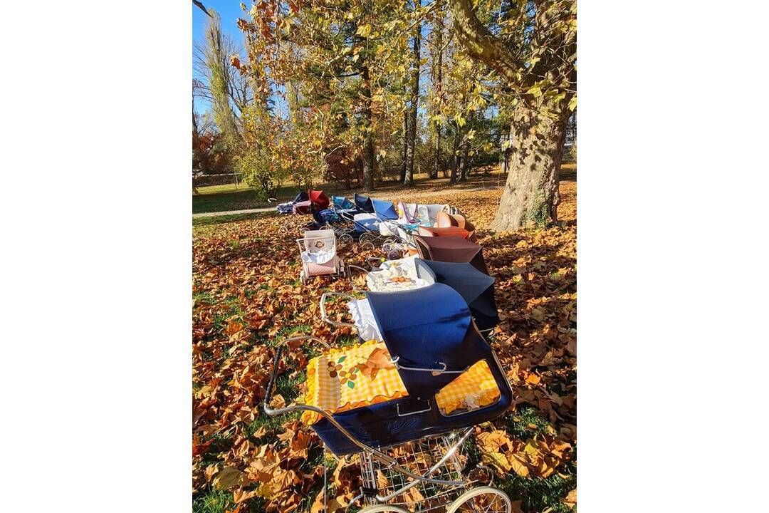 FOTO: Retrkočíkovanie v Piešťanoch, foto 5