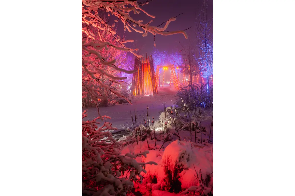 FOTO: Včelárska záhrada pod Smolenickým zámkom, foto 2