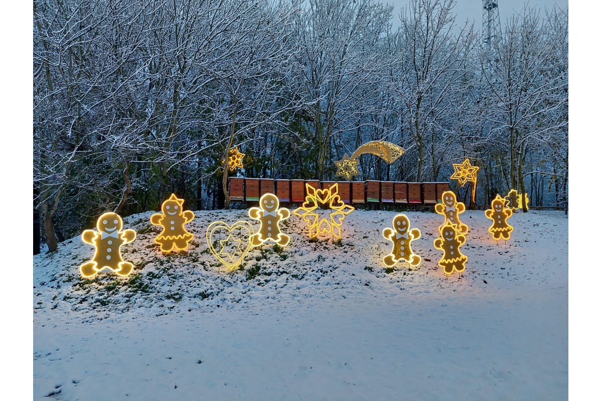 FOTO: Medovníčkovo v Dolnej Krupej, foto 3