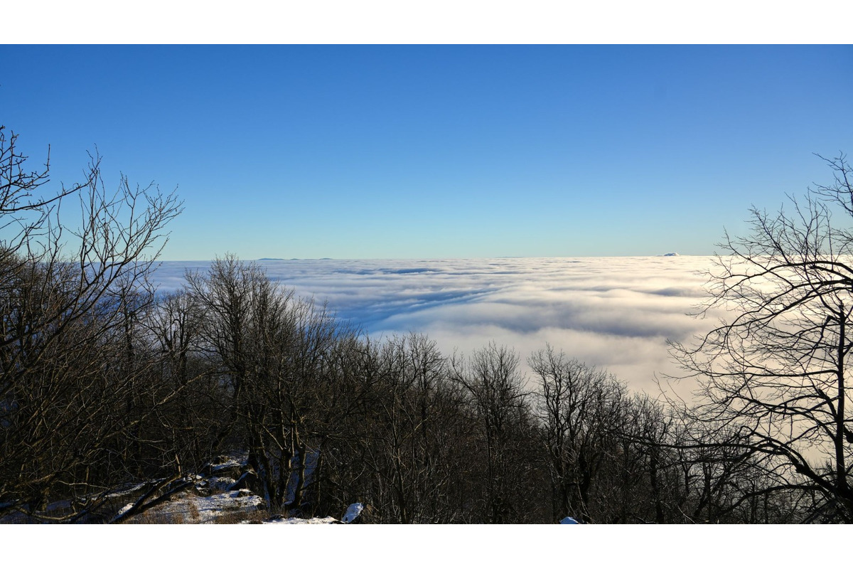FOTO: Zasnežené Malé Karpaty očami Trnavčanov, foto 3