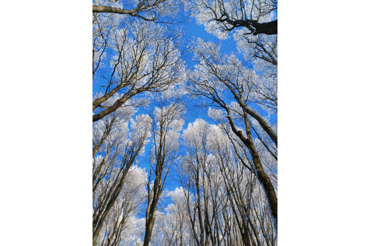 FOTO: Zasnežené Malé Karpaty očami Trnavčanov, foto 4