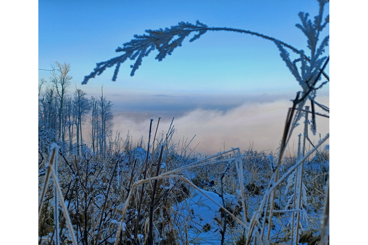 FOTO: Zasnežené Malé Karpaty očami Trnavčanov, foto 5