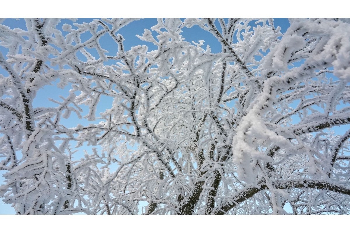 FOTO: Zasnežené Malé Karpaty očami Trnavčanov, foto 6