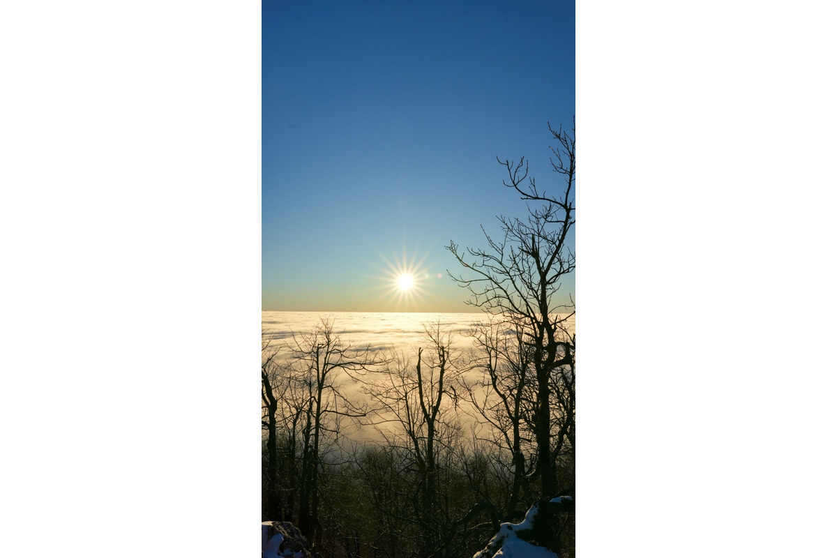 FOTO: Zasnežené Malé Karpaty očami Trnavčanov, foto 9