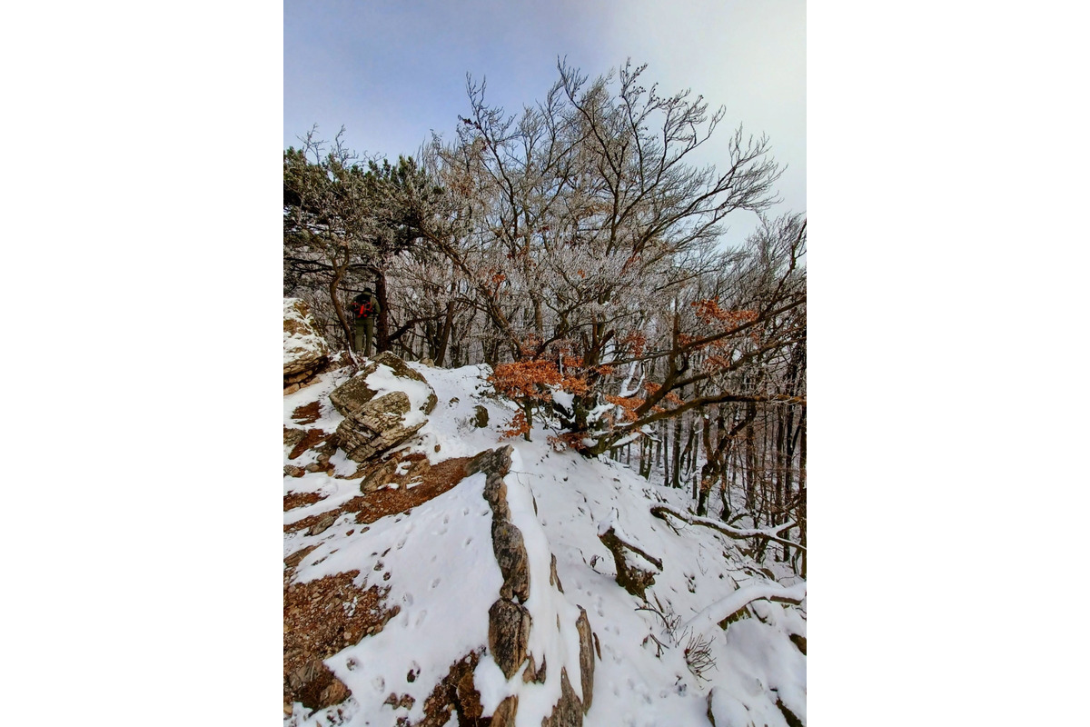 FOTO: Zasnežené Malé Karpaty očami Trnavčanov, foto 11