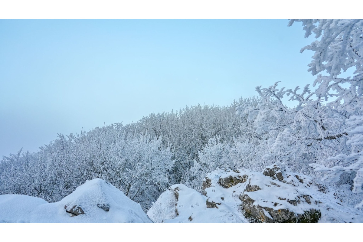FOTO: Zasnežené Malé Karpaty očami Trnavčanov, foto 13