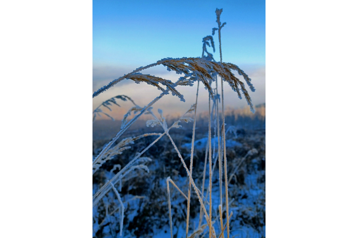 FOTO: Zasnežené Malé Karpaty očami Trnavčanov, foto 14