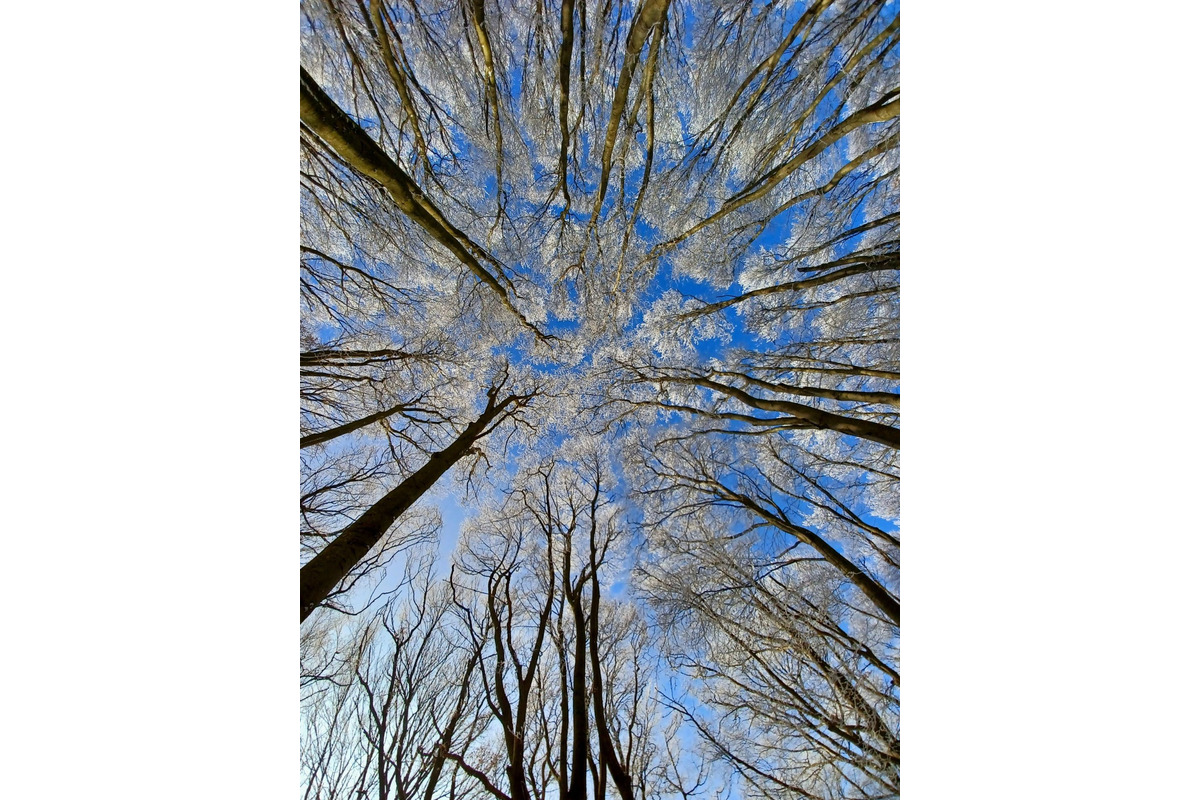 FOTO: Zasnežené Malé Karpaty očami Trnavčanov, foto 16