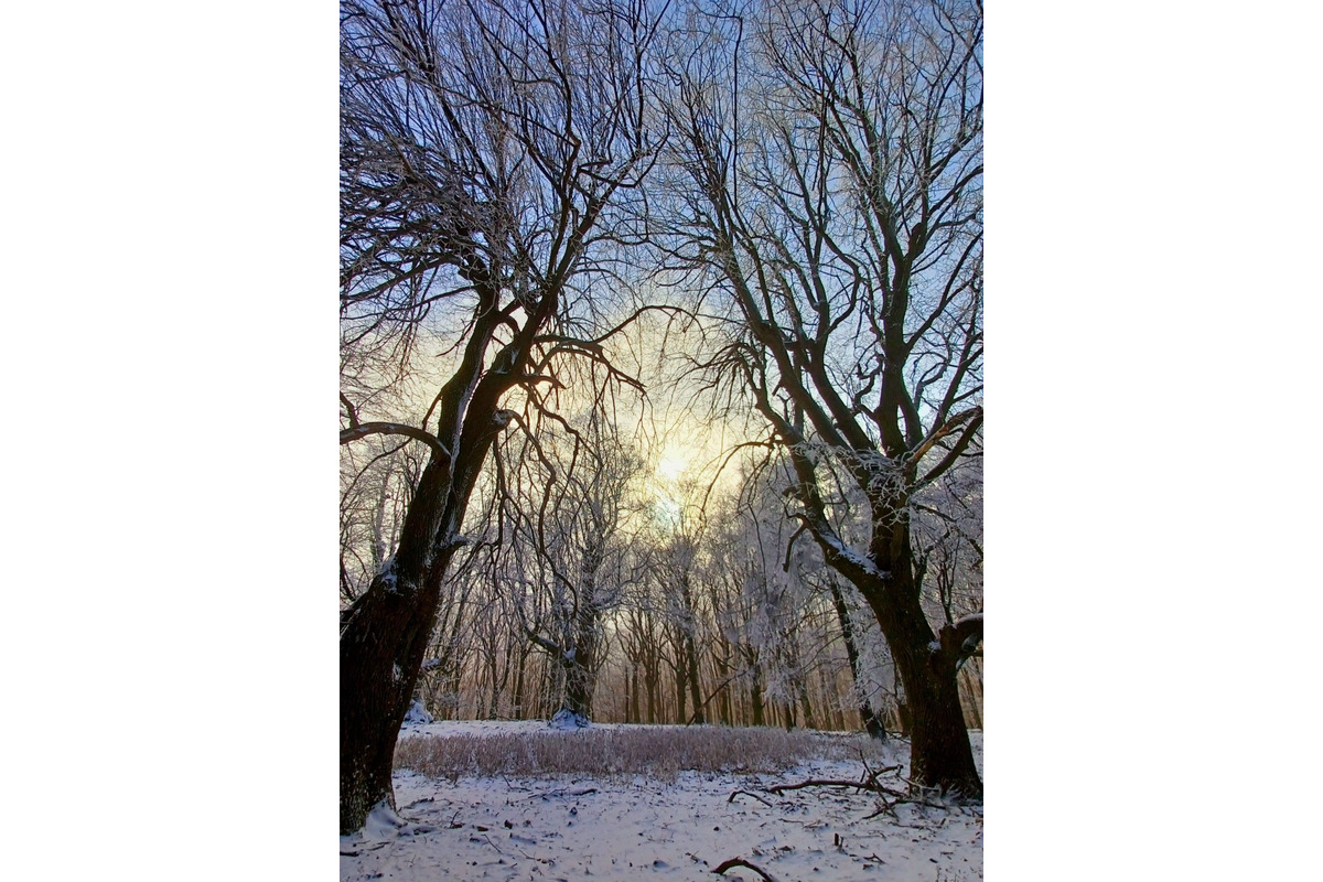 FOTO: Zasnežené Malé Karpaty očami Trnavčanov, foto 17