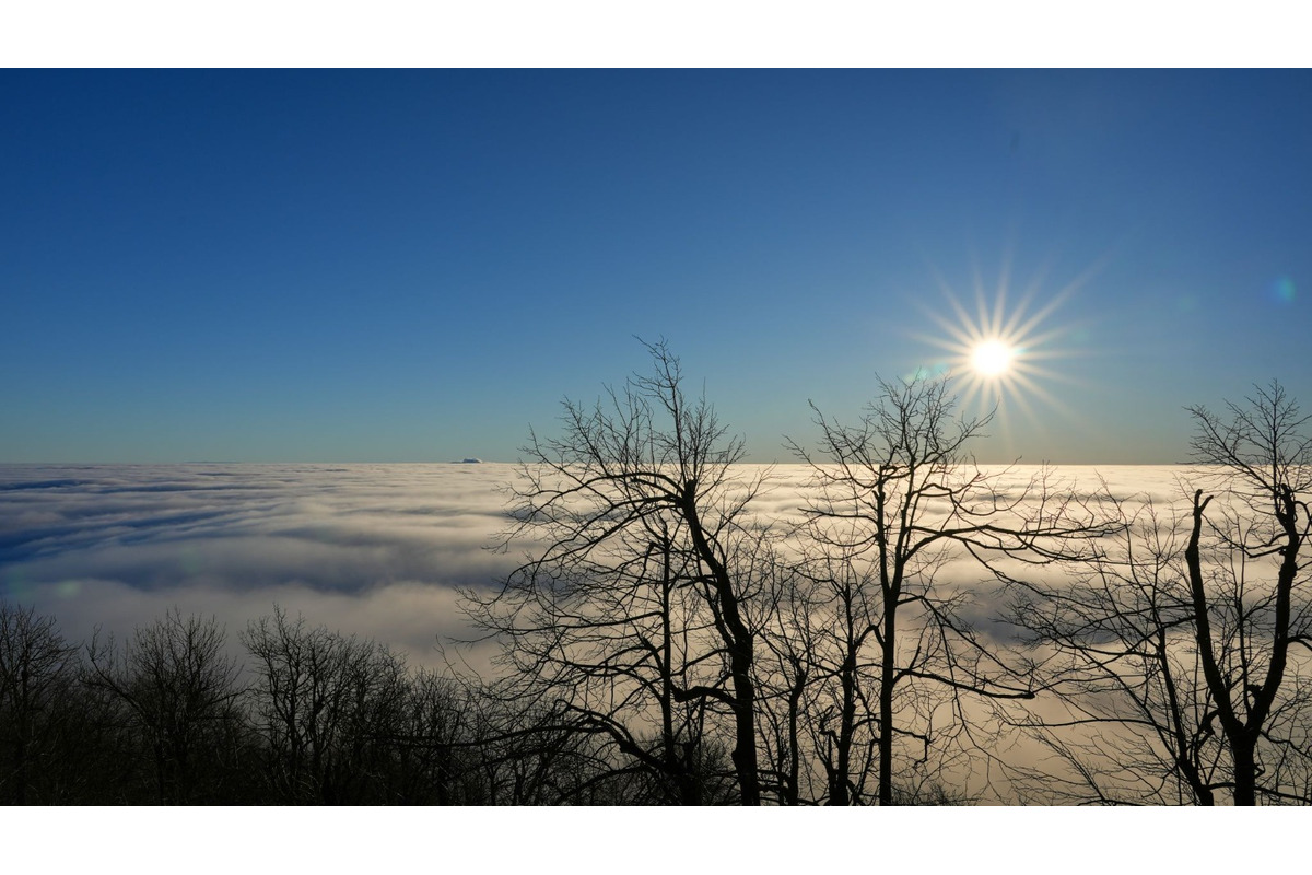 FOTO: Zasnežené Malé Karpaty očami Trnavčanov, foto 21