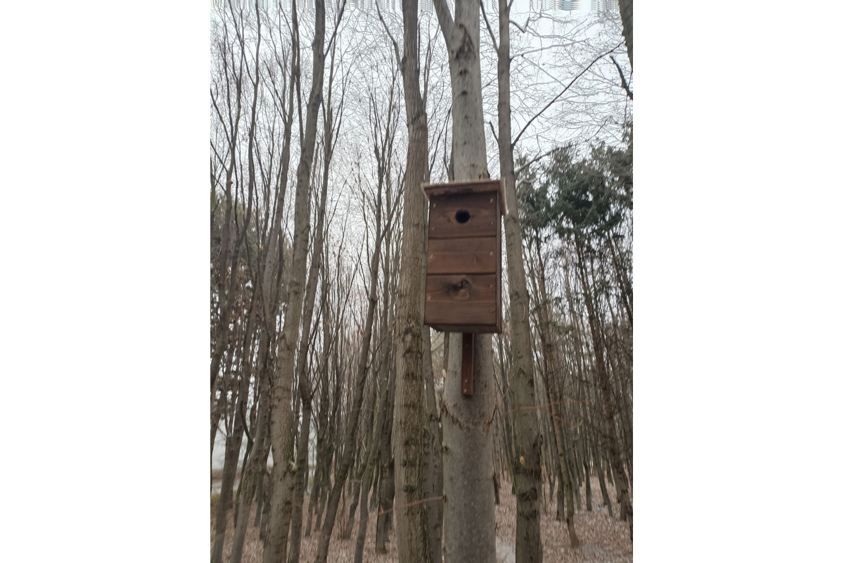 FOTO: V trnavskom lesoparku niekto osadil búdky pre vtákov. Ľudia mu ďakujú, foto 1