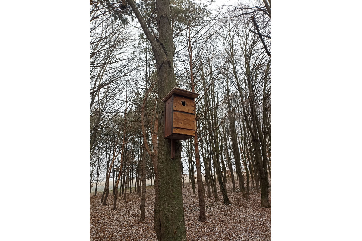 FOTO: V trnavskom lesoparku niekto osadil búdky pre vtákov. Ľudia mu ďakujú, foto 5