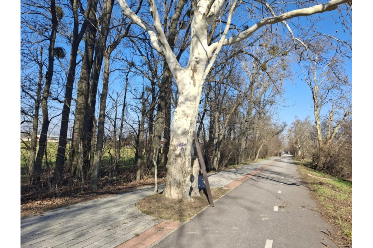 FOTO: Poškodené informačné tabule pri ceste Négyeseki, foto 1