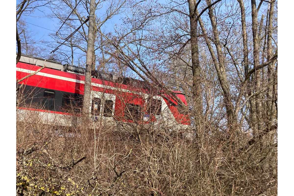 FOTO: Na trati Trnava - Kúty spadol na vlak strom, zasahovali hasiči, foto 1