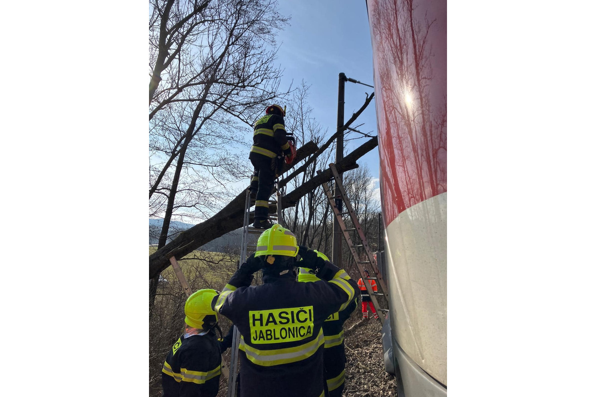 FOTO: Na trati Trnava - Kúty spadol na vlak strom, zasahovali hasiči, foto 3