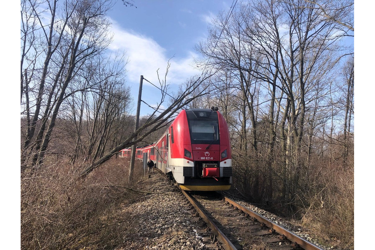 FOTO: Na trati Trnava - Kúty spadol na vlak strom, zasahovali hasiči, foto 4