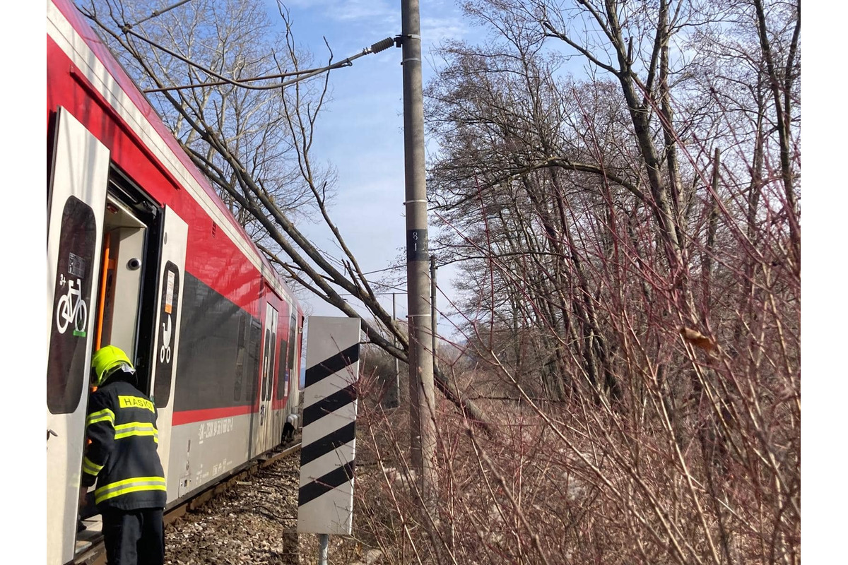 FOTO: Na trati Trnava - Kúty spadol na vlak strom, zasahovali hasiči, foto 6