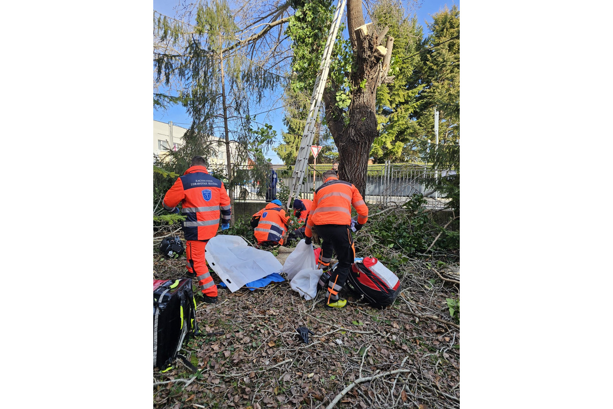FOTO: Záchranári pomáhali mužovi, ktorý spadol zo stromu, foto 3
