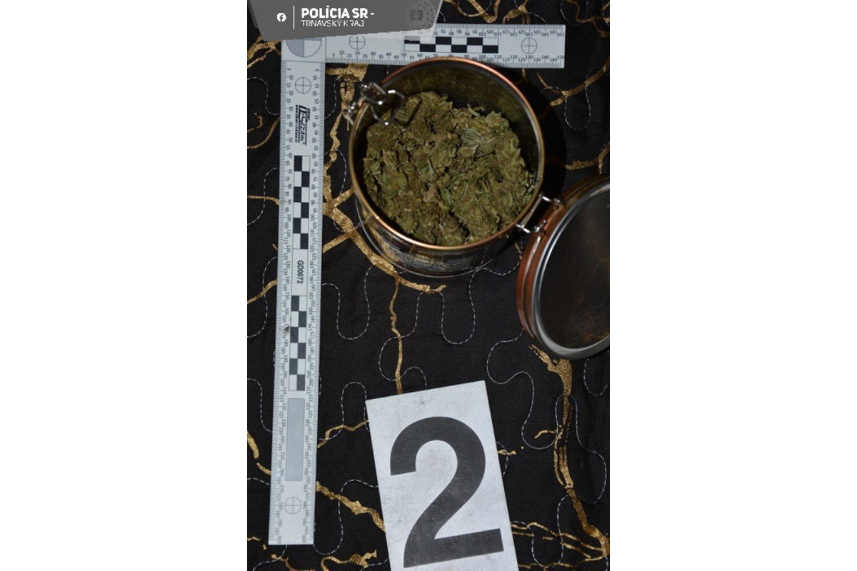 FOTO: Polícia v Seredi a Šoporni chytila drogových dílerov, foto 3