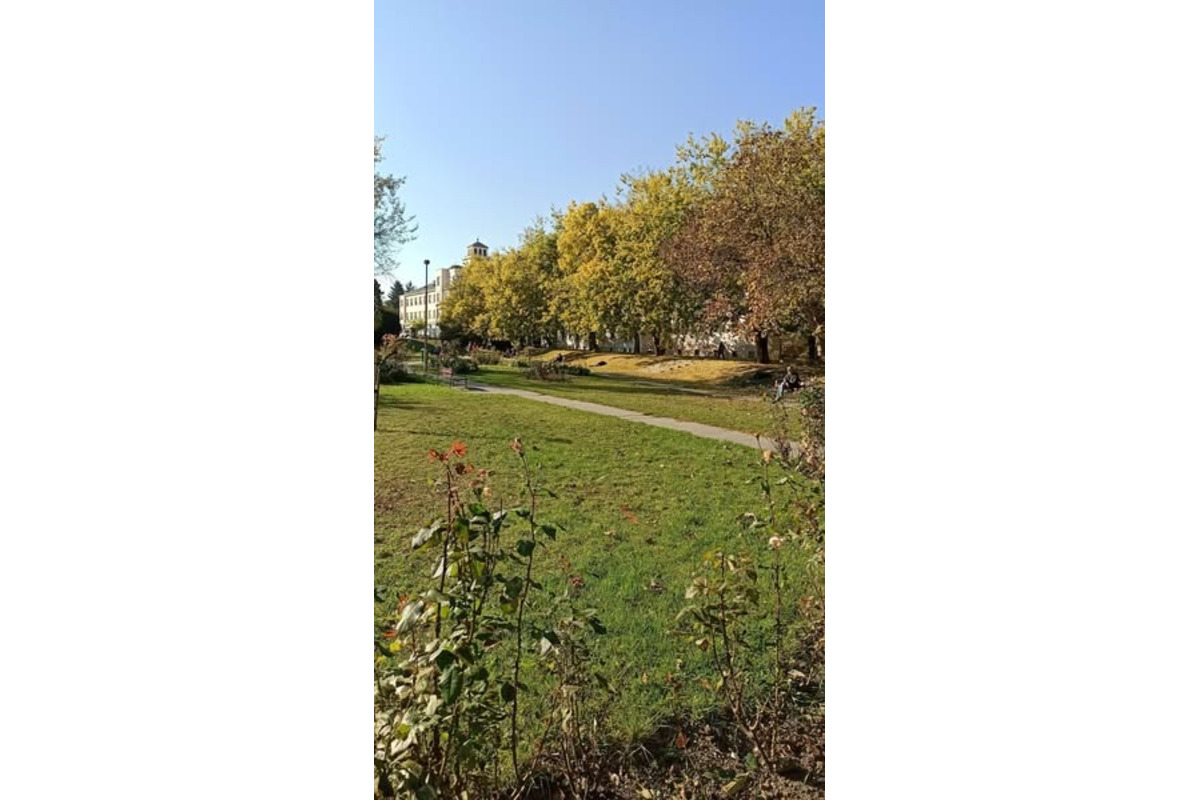 FOTO: Ružový park pred modernizáciou, foto 1