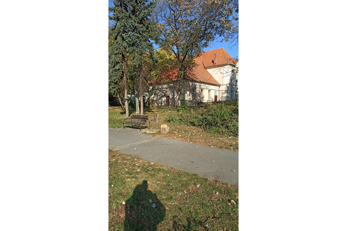 FOTO: Ružový park pred modernizáciou, foto 2