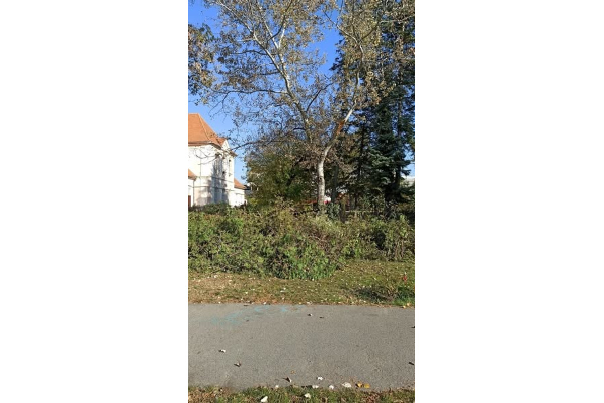 FOTO: Ružový park pred modernizáciou, foto 3