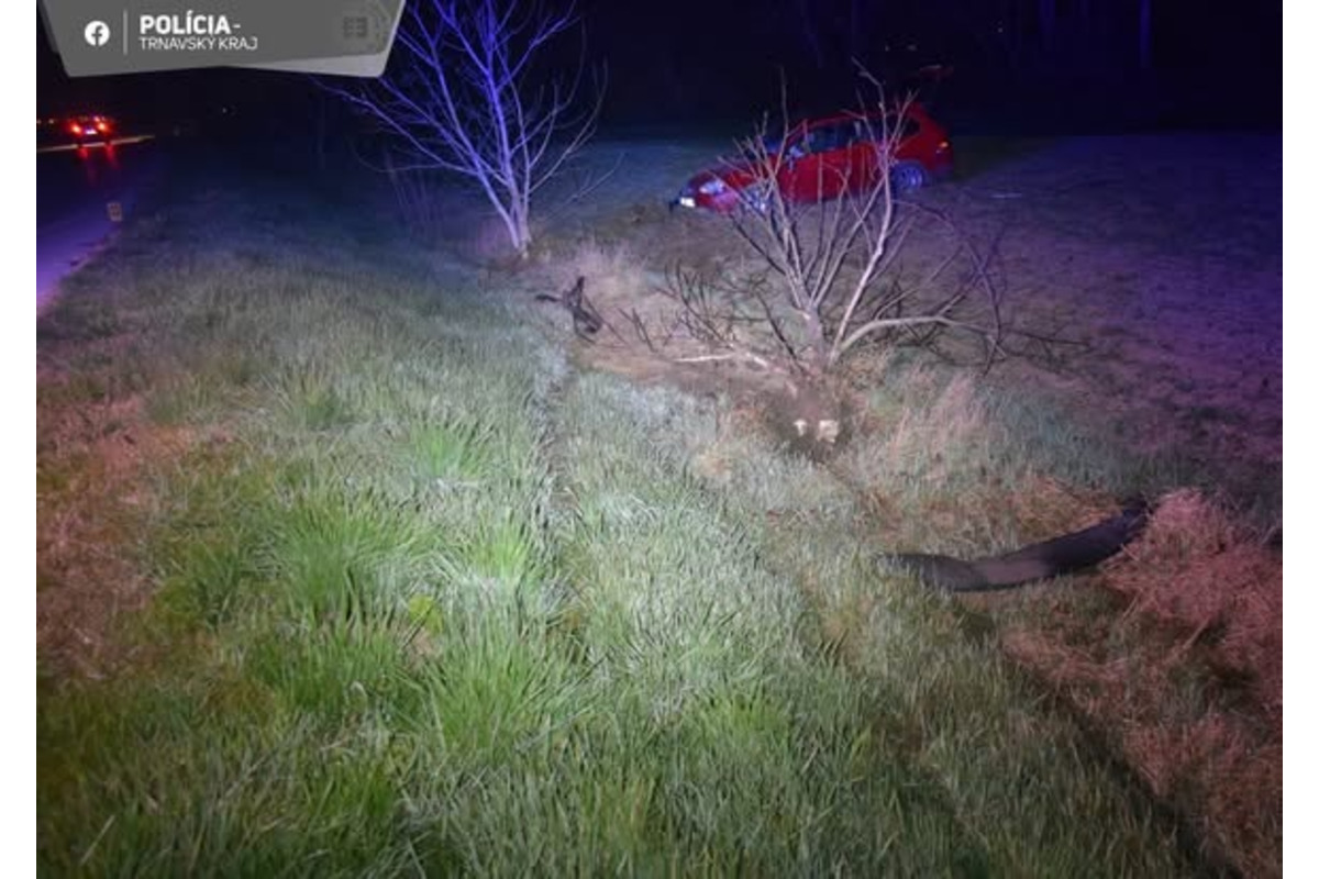 FOTO: Nočná tragédia pri obci Siladice, foto 4