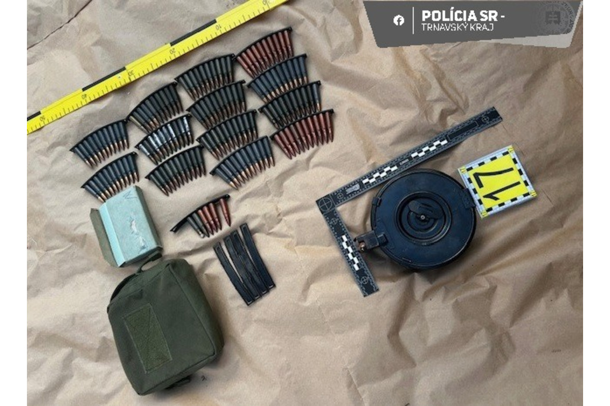 FOTO: Trnavskí policajti zadržali muža, ktorý v dome držal celý arzenál zbraní, foto 9