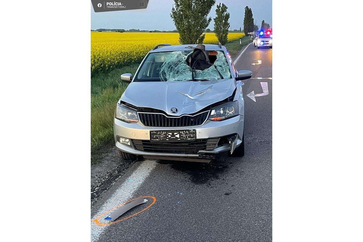 FOTO: Pri Seredi vyhasol život mladíka, ktorého zrazilo auto, foto 1