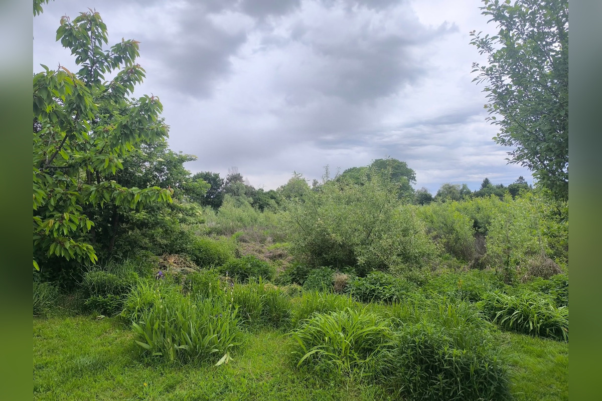 FOTO: Trnavčania apelujú na zlý stav horného rybníka, foto 2