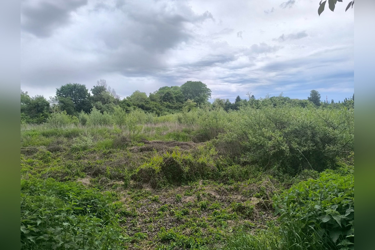 FOTO: Trnavčania apelujú na zlý stav horného rybníka, foto 3