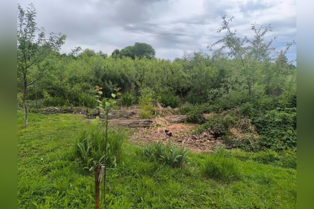 FOTO: Trnavčania apelujú na zlý stav horného rybníka, foto 4