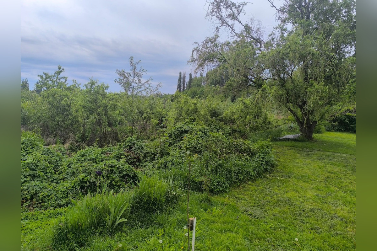 FOTO: Trnavčania apelujú na zlý stav horného rybníka, foto 5