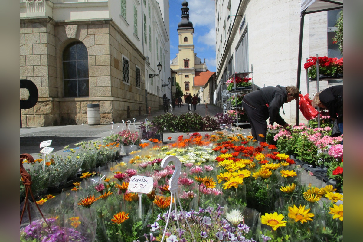 FOTO: Májový kvet 2025, foto 3
