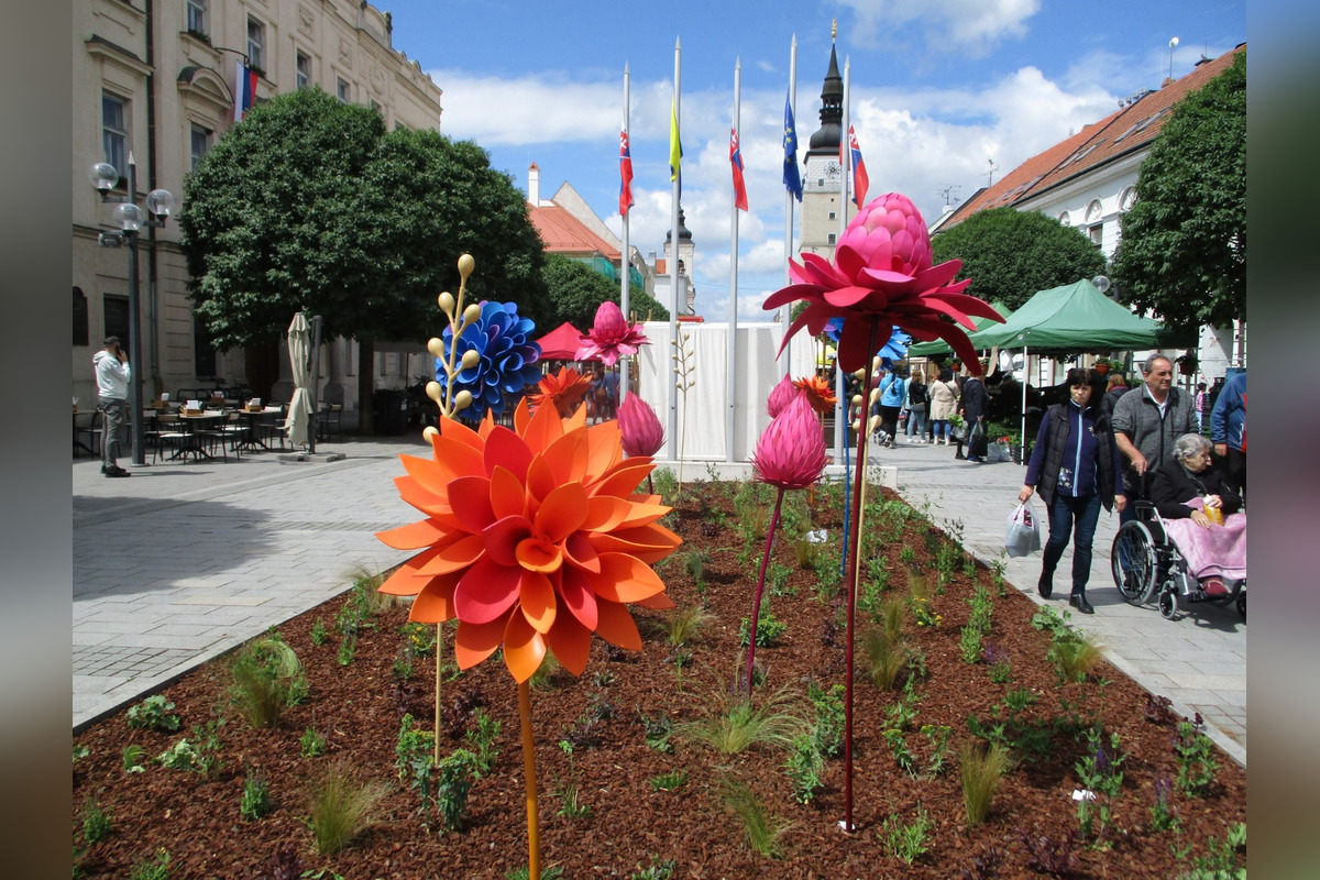 FOTO: Májový kvet 2025, foto 4