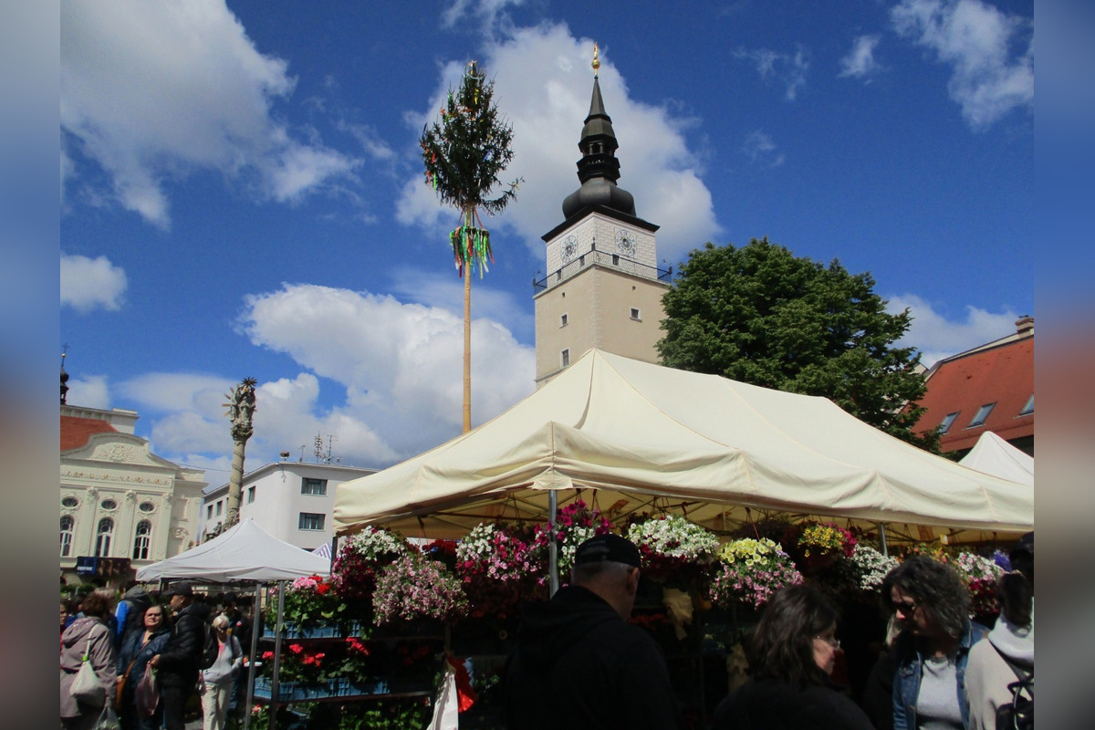 FOTO: Májový kvet 2025, foto 5