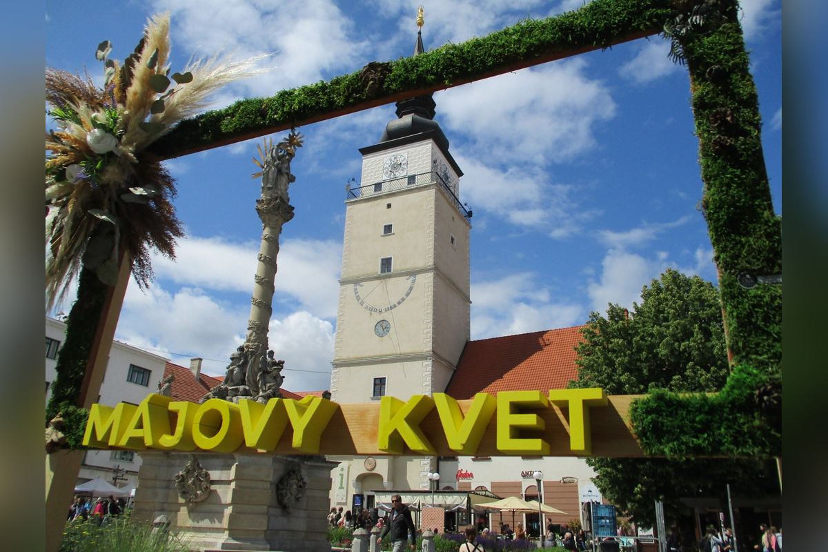 FOTO: Májový kvet 2025, foto 9