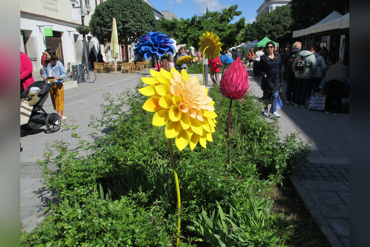 FOTO: Májový kvet 2025, foto 11