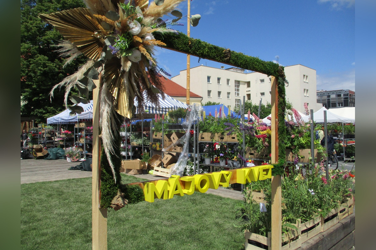 FOTO: Májový kvet 2025, foto 12