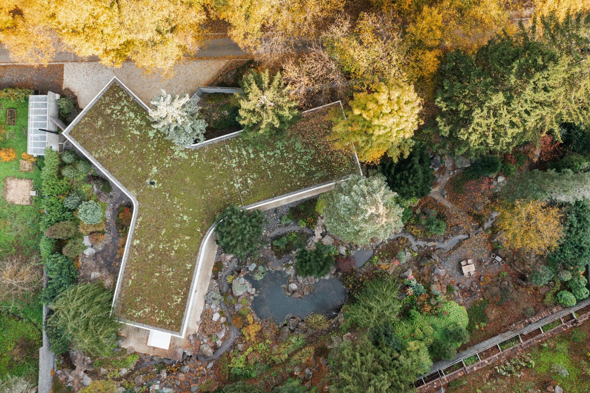 FOTO: Pri Piešťanoch sa nachádza dom priamo uprostred lesa, foto 2
